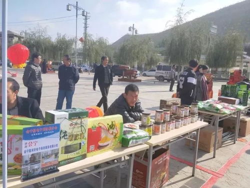 舌尖上的綠色 高原遺珍，狀元故里——會寧小雜糧狀元食品暨民俗文化產(chǎn)品展銷會與電子商務(wù)推介會紀(jì)實